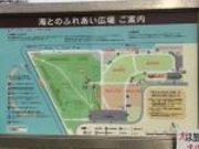 ゆうたさんの海とのふれあい広場の投稿写真1