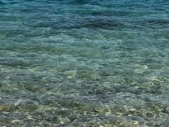 うみさんの前浜ビーチへの投稿写真1