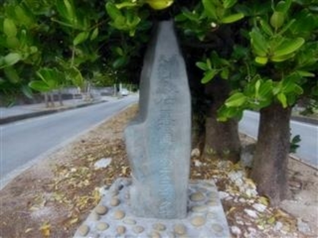 「県指定天然記念物 仲里村真謝のチュラフクギ」石碑(久米島)_チュラフクギ