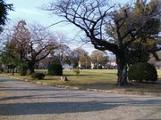かほさんの稲荷公園の投稿写真1