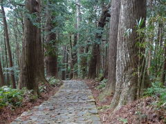 熊野古道の写真1