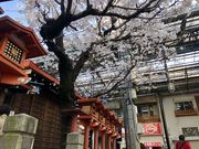 カトQさんの円頓寺商店街の投稿写真1