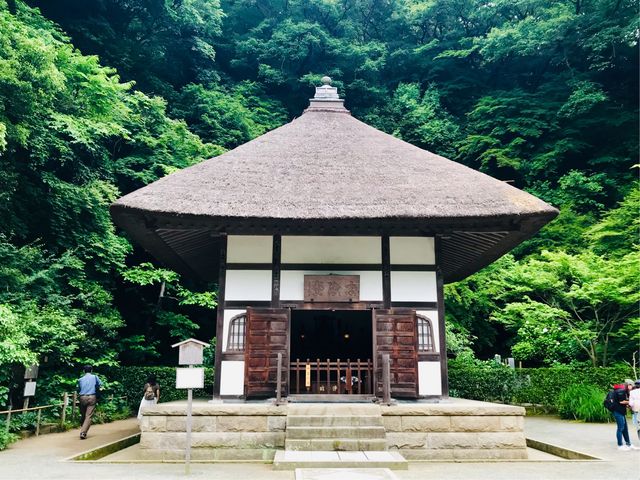 【開山堂(明月院)】2018年6月。背景の緑が美しい。_開山堂(明月院)