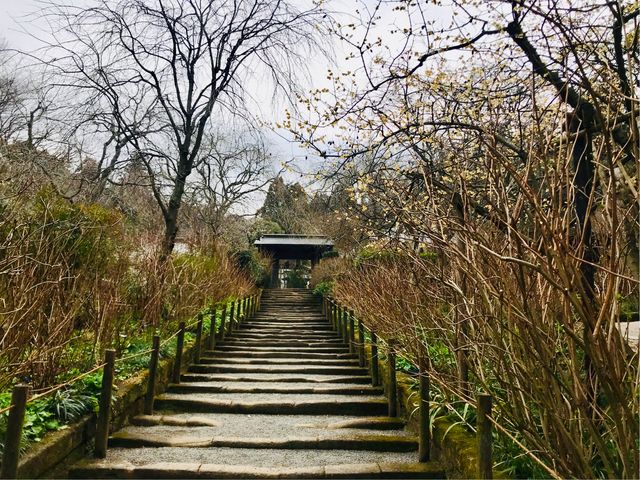 【山門(明月院)】2月、植物は葉をすっかり落として、見通しの良い参道と山門_山門(明月院)