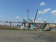 ま〜ぼ〜さんの秋ヶ瀬公園の投稿写真1