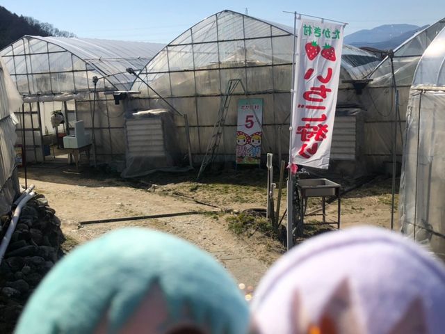ハウスがたくさん並んでいます_たかぎ農村交流研修センター