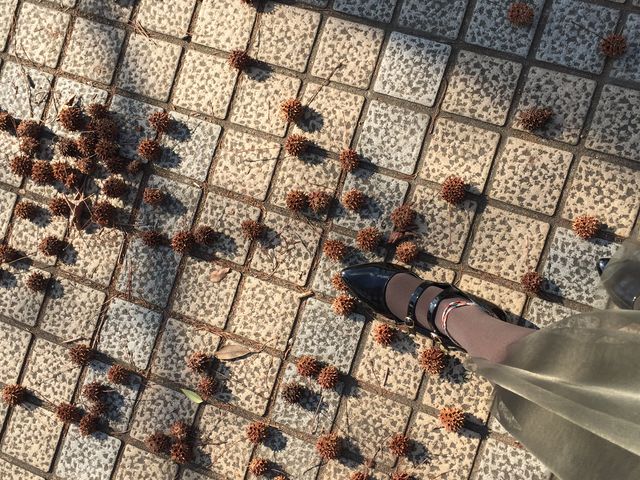 植物の種類も豊富_青葉の森公園