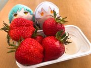 チー婆くんandガスパールくんさんのたかぎ農村交流研修センターの投稿写真10