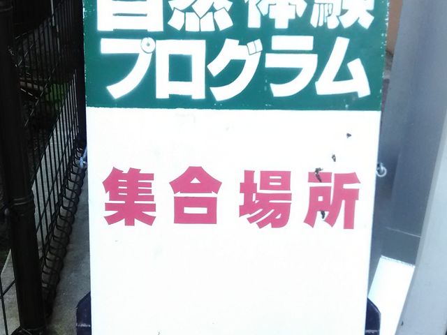 りそなさんの自然体験プログラムの投稿写真1