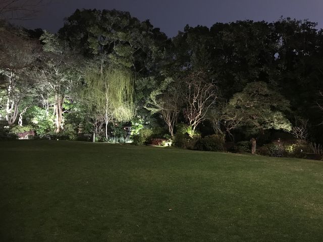 夜の庭園_北野ガーデン