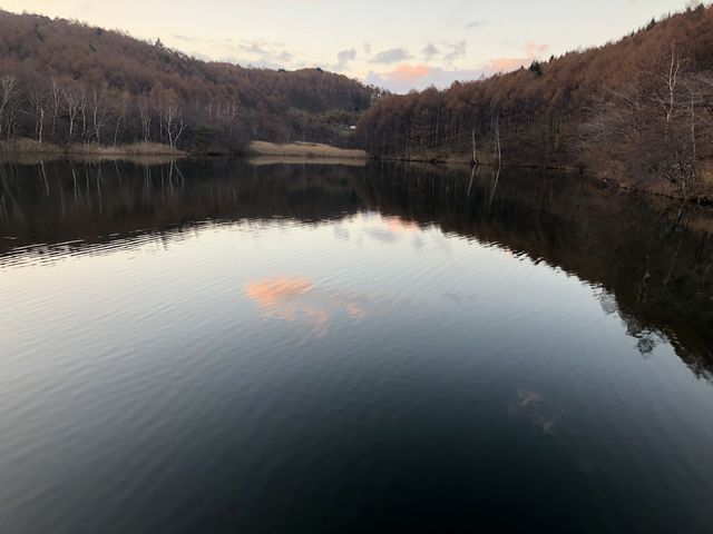 カトQさんの蓼の海の投稿写真1