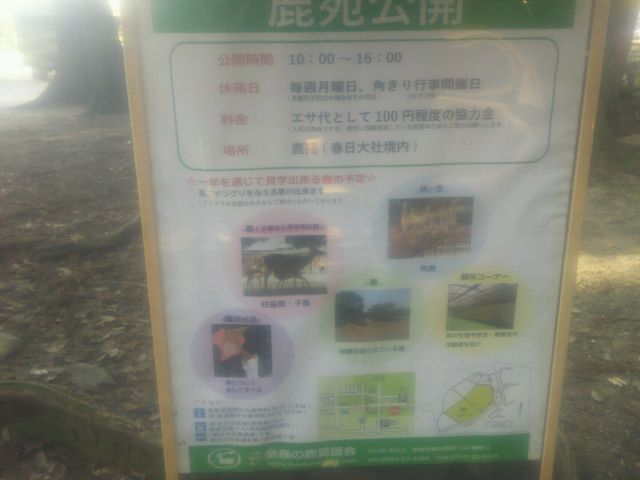 鹿苑_奈良の鹿 愛護会