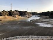 カトQさんの佐布里池の投稿写真1