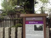 ひーちゃんさんの浅間神社の投稿写真1