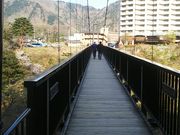 機動部隊長さんの楯岩橋の投稿写真1