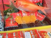 Happyさんの大悦水産 まるいちの投稿写真1