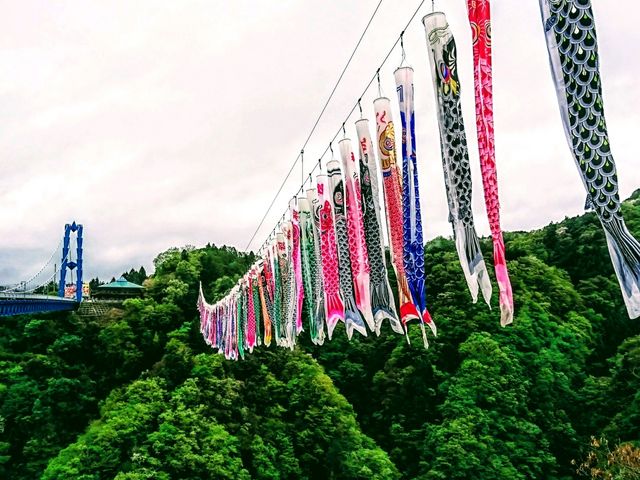 見事な鯉のぼり_竜神大吊橋