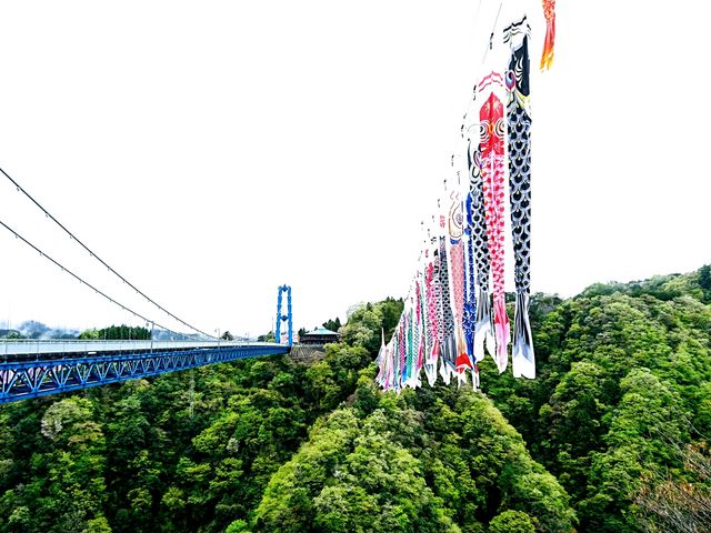 吊り橋と鯉のぼり_竜神大吊橋