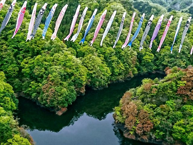 見事な鯉のぼり5_竜神大吊橋
