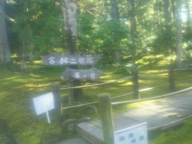 神苑内3_春日大社萬葉植物園(神苑)