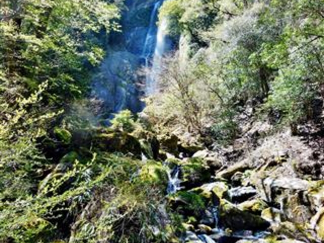 「せんだん轟の滝」(写真拡大で)_せんだん轟の滝