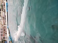 ひろにゃんさんの横浜・八景島シーパラダイスへの投稿写真2