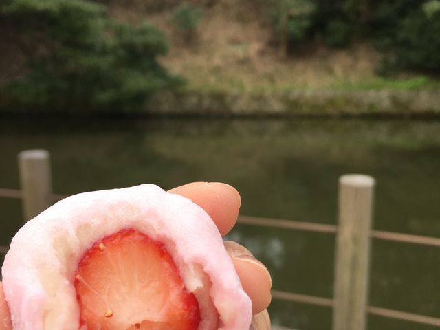 白あんのイチゴ大福、優しい甘さと甘酸っぱさ_越山甘清堂