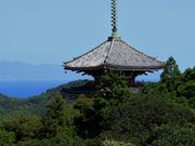 Yanwenliさんの五台山公園の投稿写真5