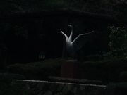 mamaさんの白鳥路の投稿写真1