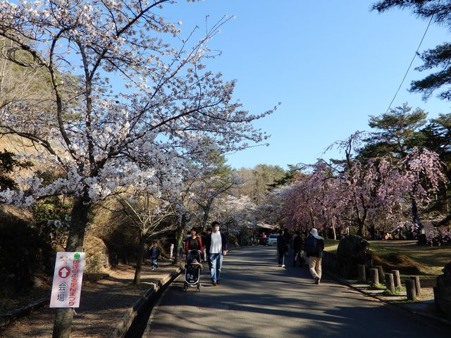 伊達のふる里桜まつり_産業伝承館