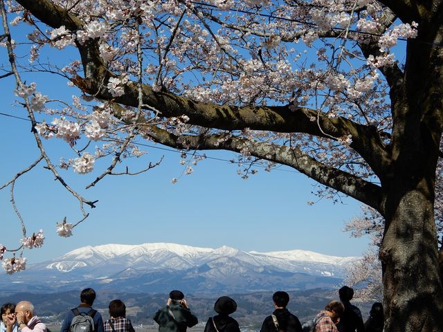 坊ちゃんさんの船岡城址の投稿写真1