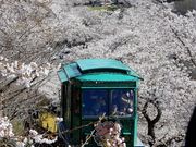 坊ちゃんさんの船岡城址公園スロープカーの投稿写真3