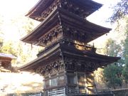 shinsyuringoさんの真楽寺の投稿写真1