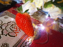 ひなのさんの高野いちご園への投稿写真1