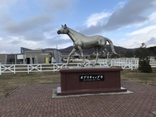 オグリキャップ号_優駿記念館