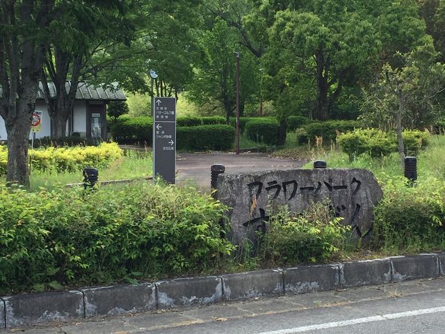 木々は青々してる_フラワーパークすいげん