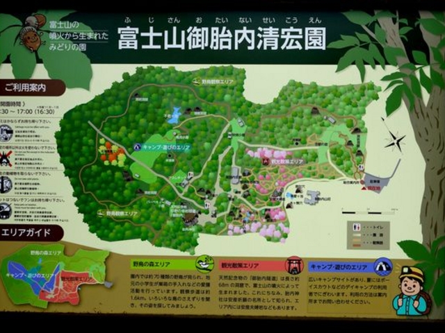 見応えあります_御胎内清宏園