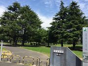 ハルさんの篠崎公園の投稿写真1