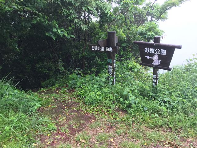 ここ入り口_大堂お猿公園