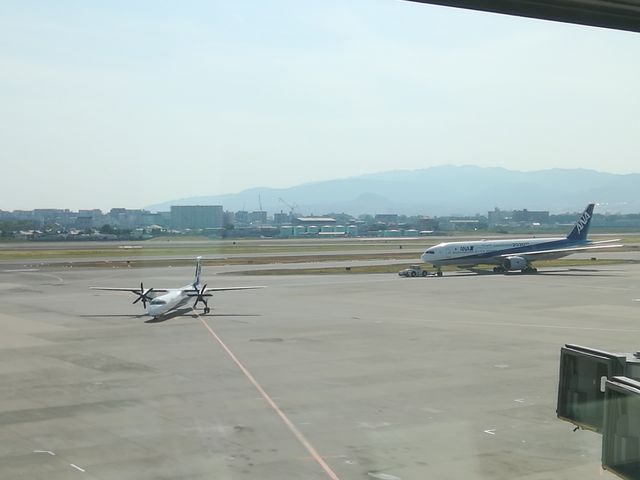 飛行機の発着が窓外に見られます_ANA 伊丹空港ラウンジ