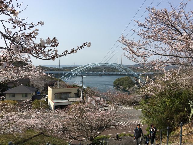 桜と水色の橋は第2西海橋。上の車道は有料道路、下は遊歩道になってて歩けます。_西海橋