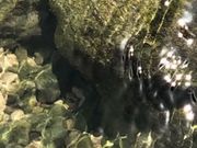 ぴーのさんの平和台公園の投稿写真1