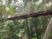 空詩土さんの駿河平自然公園の投稿写真2
