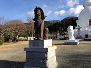jkammy07さんの富士仏舎利塔平和公園の投稿写真4