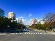 まきろんさんの平和大通りの投稿写真1