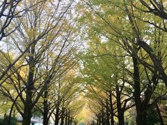 光が丘公園の写真1