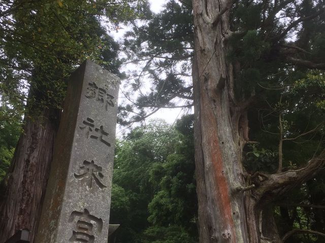 来宮神社入口_来宮神社(静岡県伊豆市)