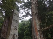 キッドさんの来宮神社の投稿写真1