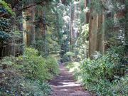 キッドさんの箱根旧街道の投稿写真1