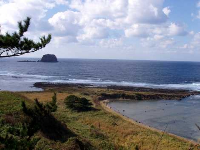 荒崎海岸_荒崎海岸